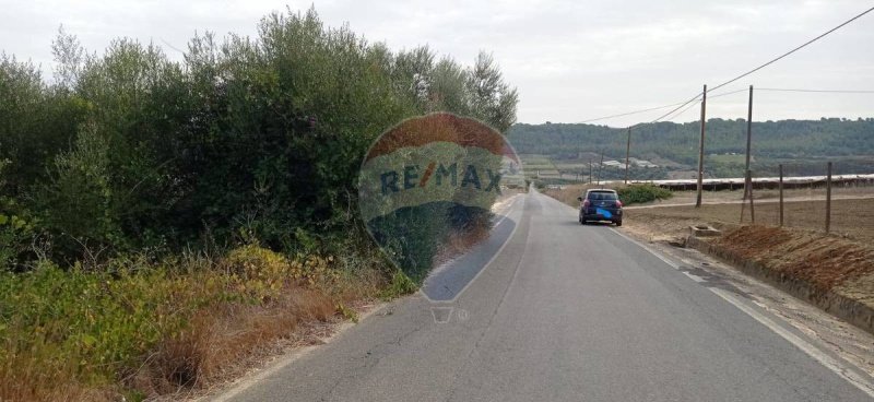 Terreno agrícola en Caltagirone