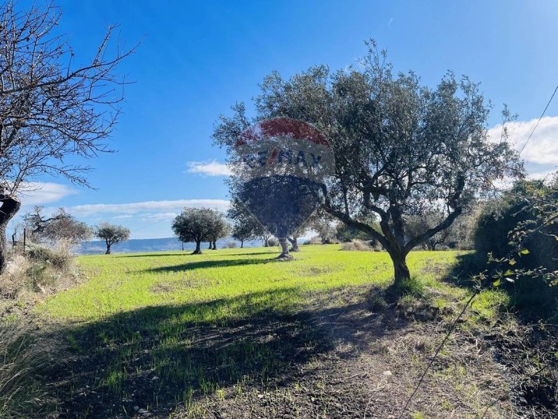 Landbouwgrond in Modica