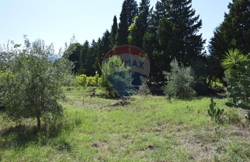 Landwirtschaftliche Fläche in Piedimonte Etneo