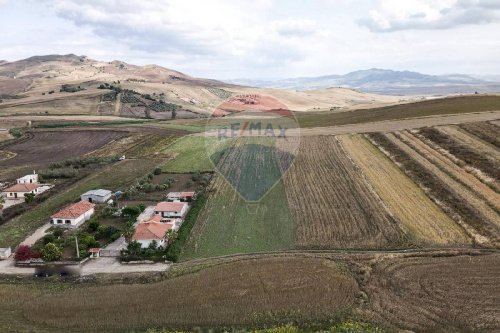 Terreno agrícola en Castel di Iudica