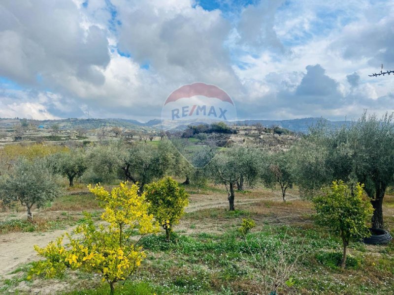 Agricultural land in Modica
