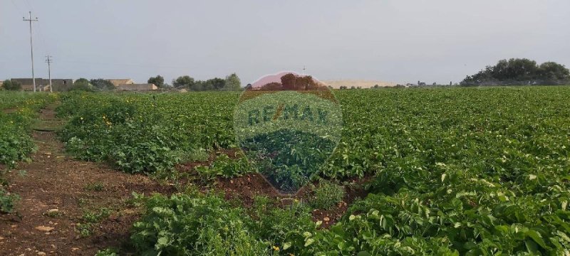 Landwirtschaftliche Fläche in Syrakus
