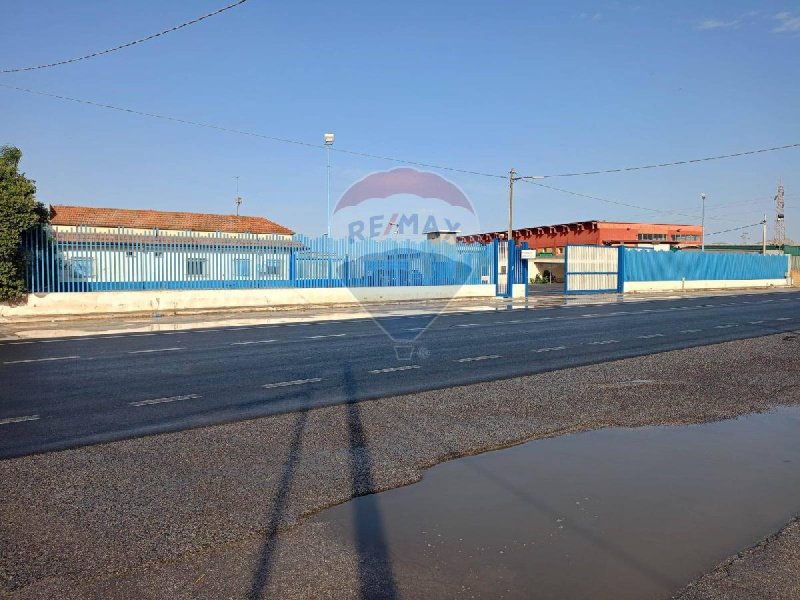 Commercial property in Gela