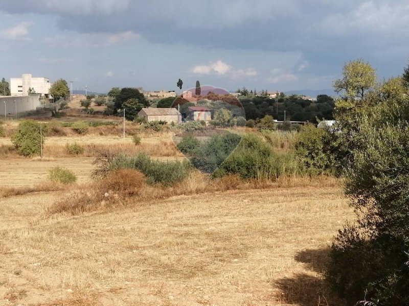 Terrain agricole à Caltagirone