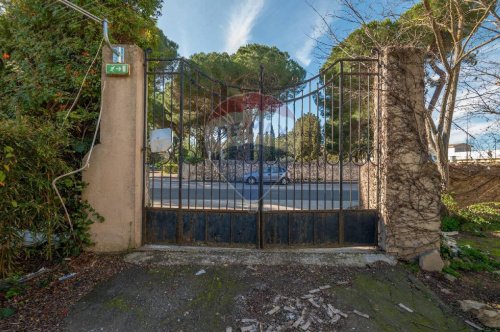 Коммерческая недвижимость в Кальтаджироне
