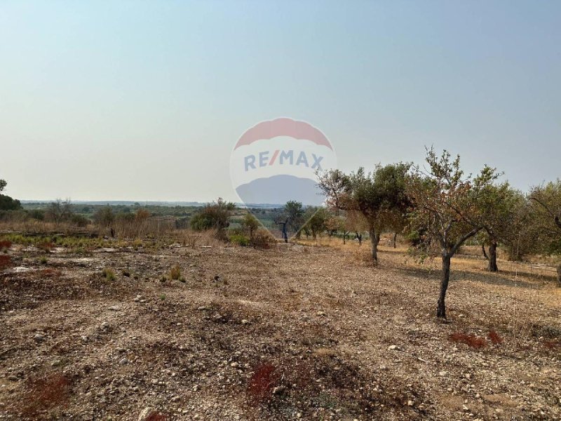 Landwirtschaftliche Fläche in Noto