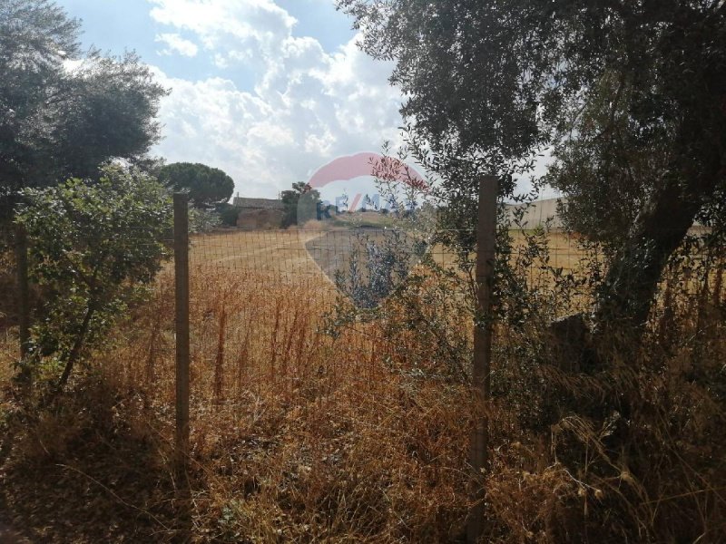 Jordbruksmark i Caltagirone