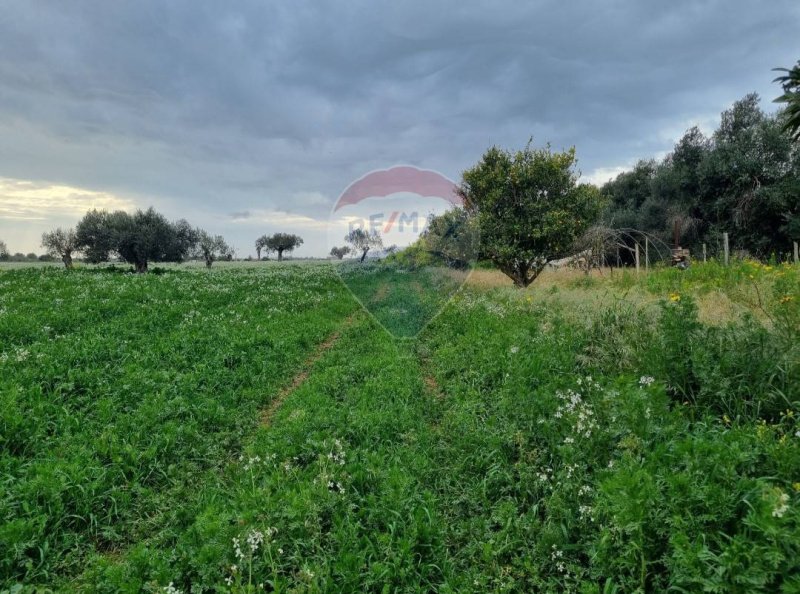 Terreno agrícola em Vittoria