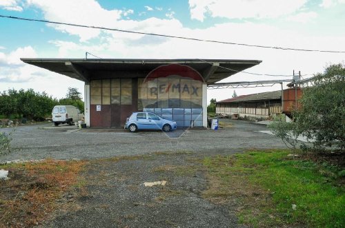 Commercial property in Santa Venerina