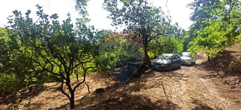 Terreno agrícola em Giarre