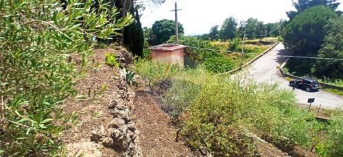 Terreno agrícola em Sant'Alfio