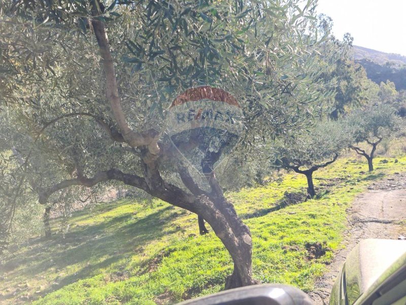 Agricultural land in Piedimonte Etneo