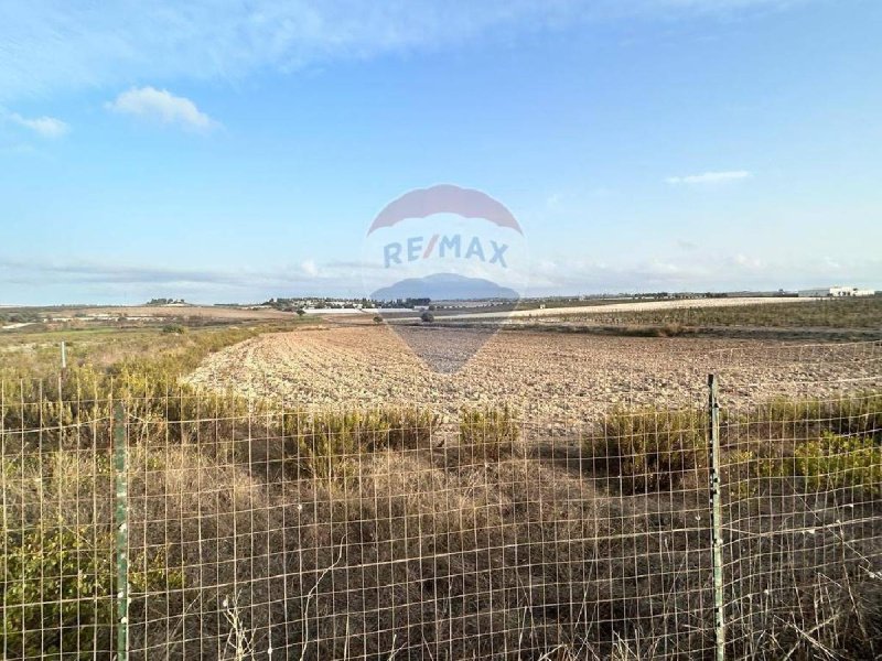 Agricultural land in Noto