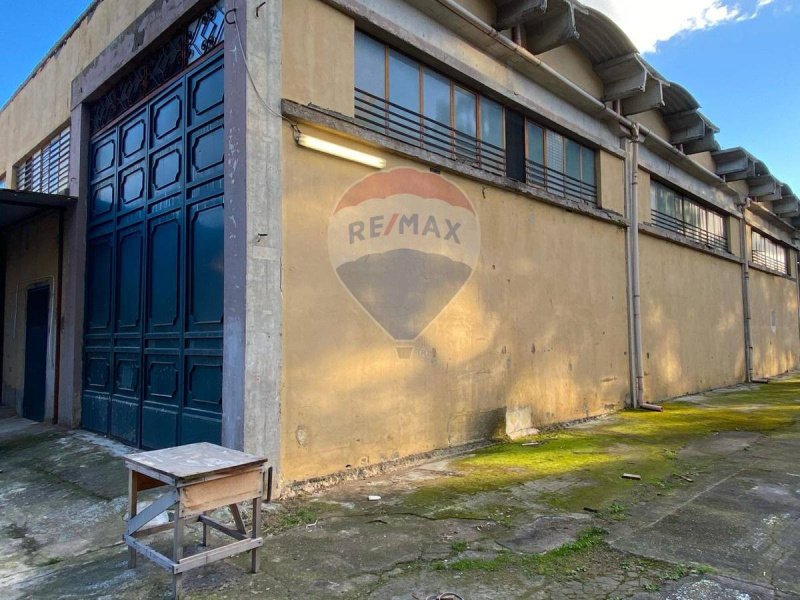 Commercial property in Belpasso
