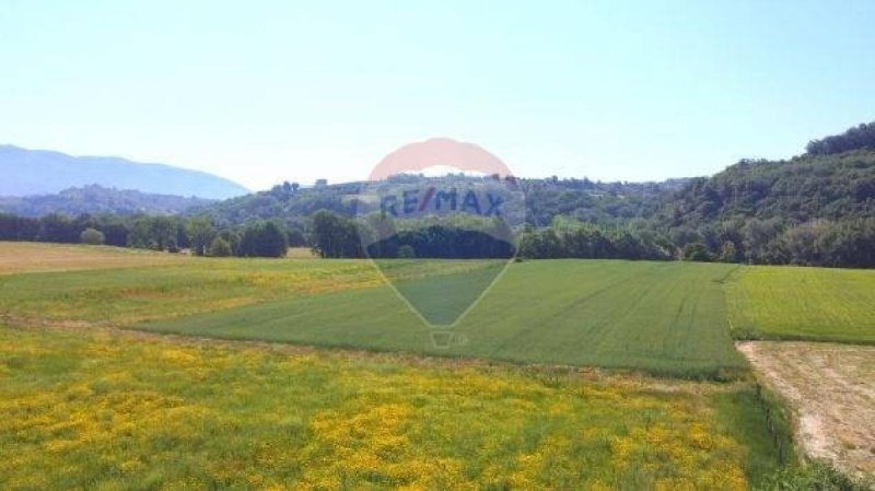 Agricultural land in Chiaramonte Gulfi