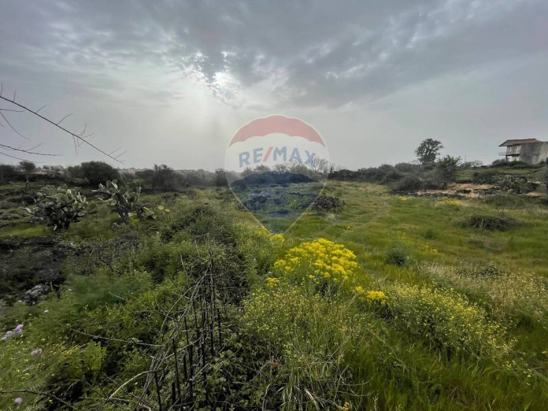 Terreno agrícola en Catania