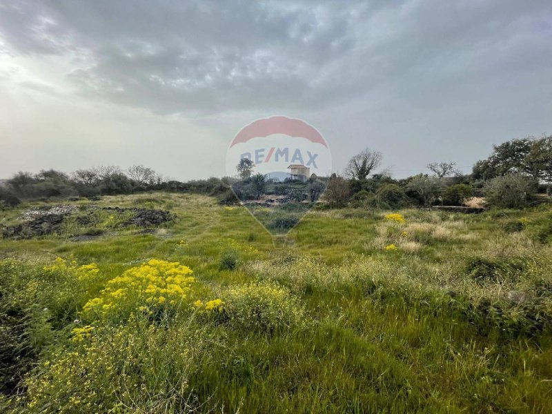 Terreno agrícola en Catania