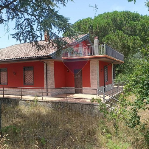 House in Pedara