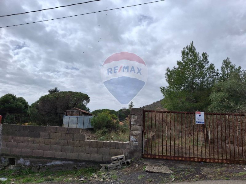 尼科洛西农用土地