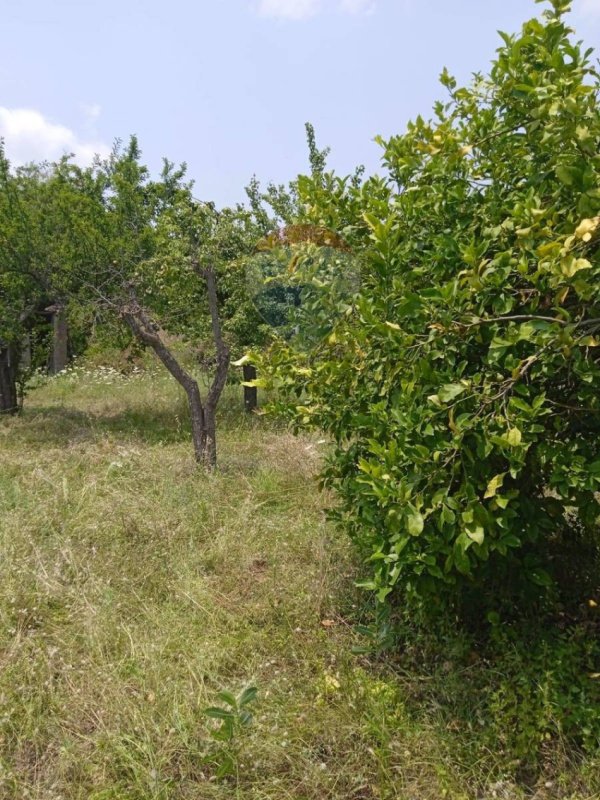 Landbouwgrond in Tremestieri Etneo