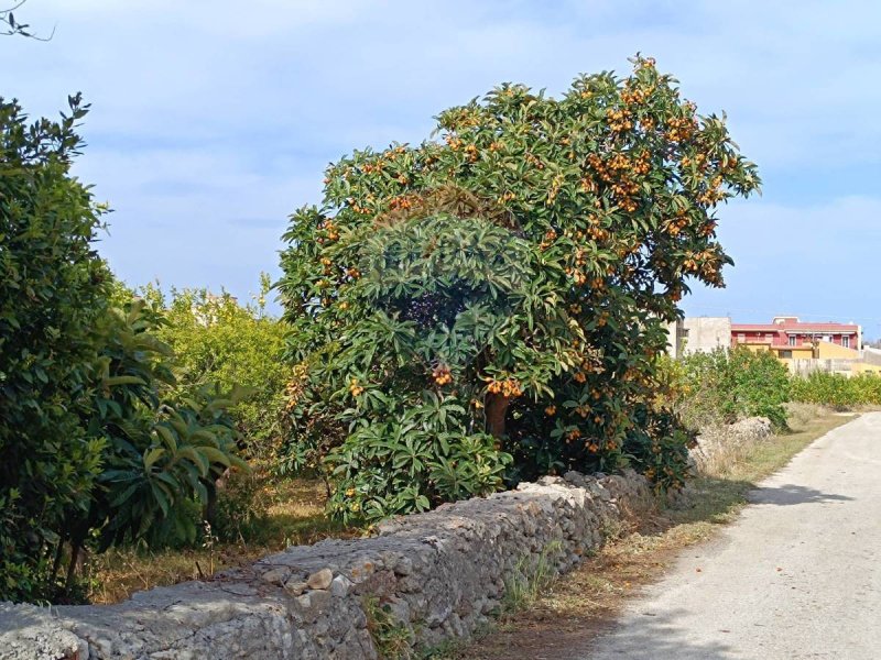 Landbouwgrond in Priolo Gargallo