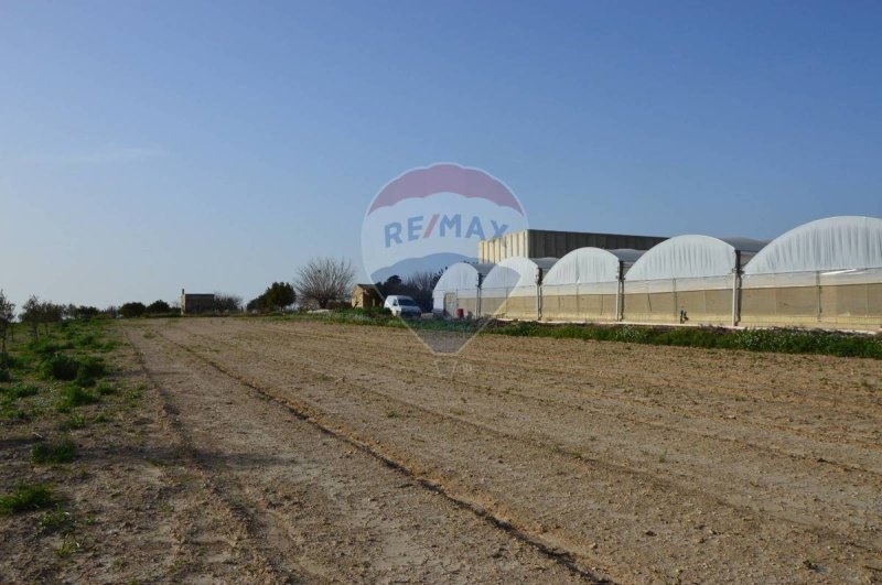 Landwirtschaftlicher Betrieb in Noto