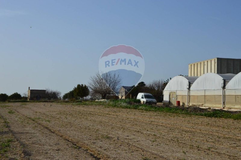 Quinta agrícola em Noto