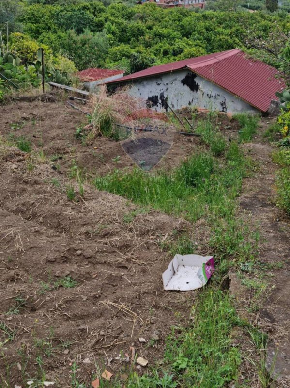 Terreno agrícola en Santa Venerina