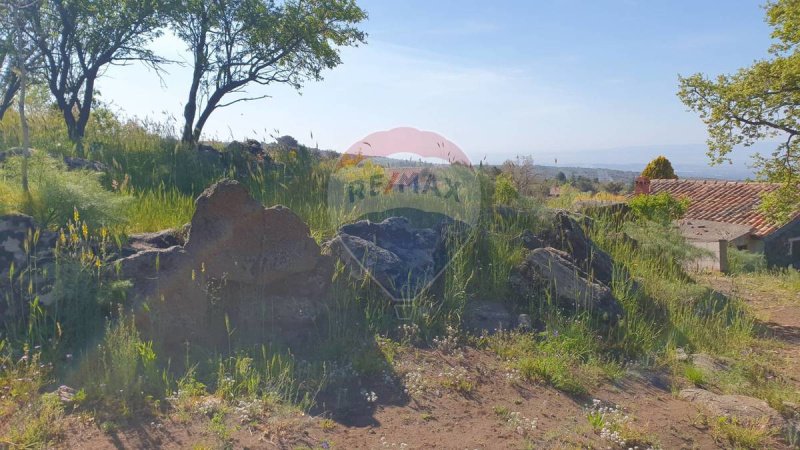 Terreno agricolo a Biancavilla