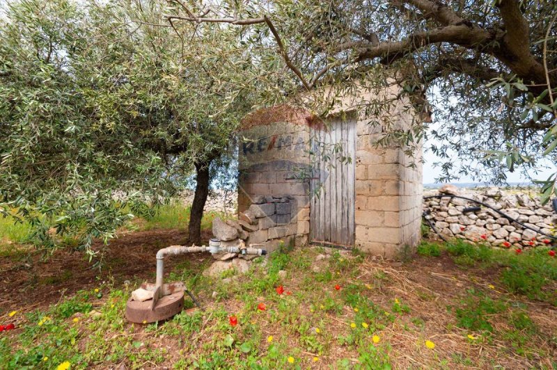 Terreno agrícola en Modica