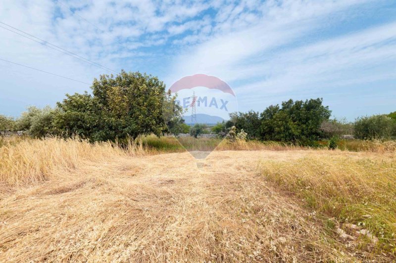 Agricultural land in Modica