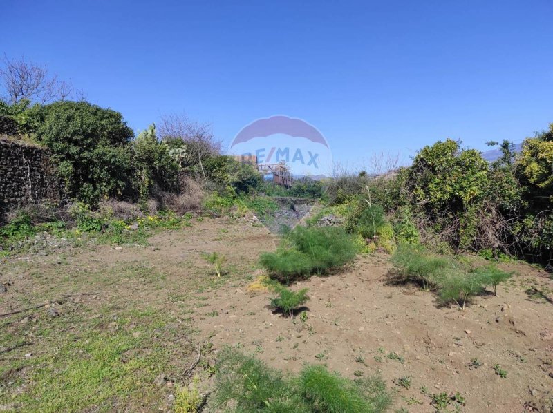 Agricultural land in San Giovanni la Punta