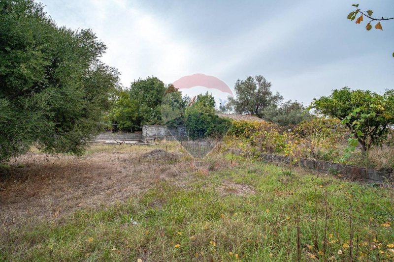 Jordbruksmark i San Giovanni la Punta