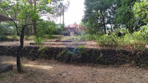 Terreno agrícola em Pedara