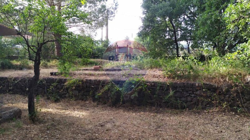 Terreno agricolo a Pedara