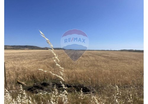 Terreno agrícola em Gela