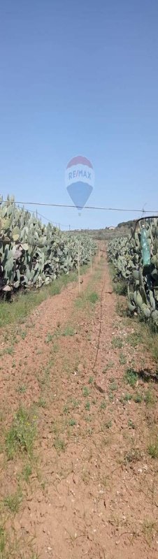 Landbouwgrond in Caltagirone