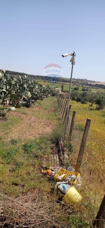 Agricultural land in Caltagirone