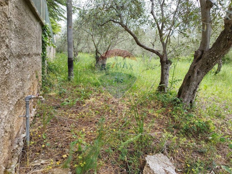 Terreno agrícola en Torretta