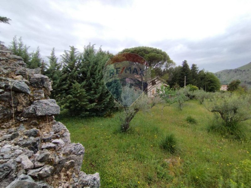 Agricultural land in Torretta