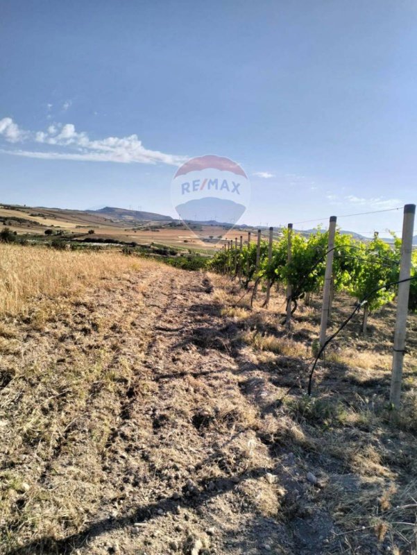 Terreno agrícola em Licodia Eubea