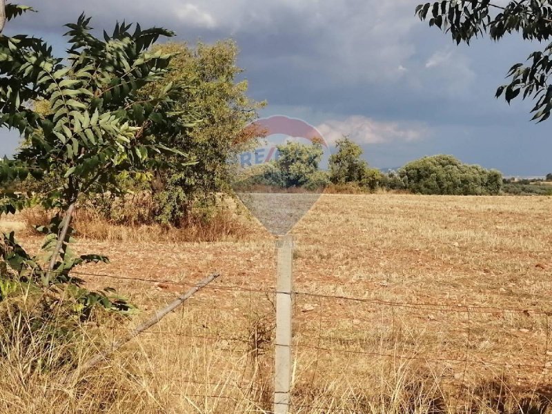 Landbouwgrond in Caltagirone