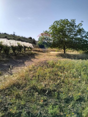 Terreno agrícola en Licodia Eubea