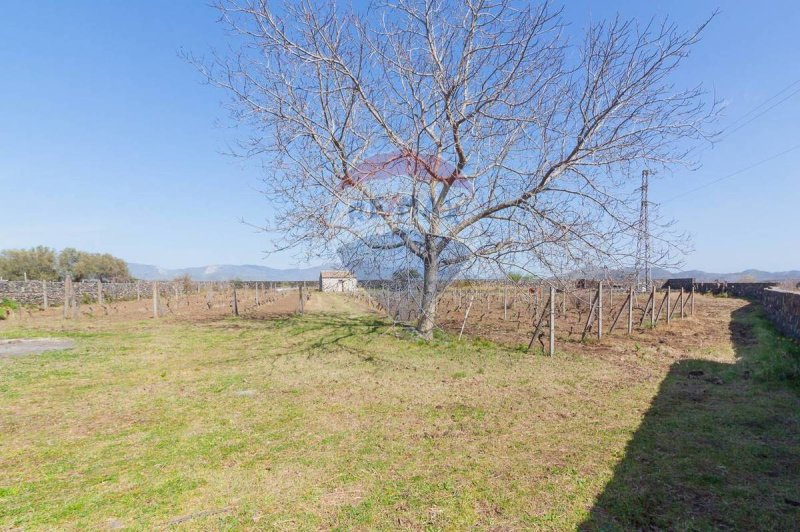 Terreno agricolo a Castiglione di Sicilia