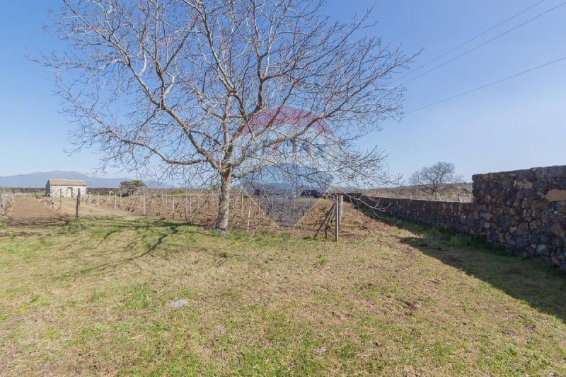 Landbouwgrond in Castiglione di Sicilia