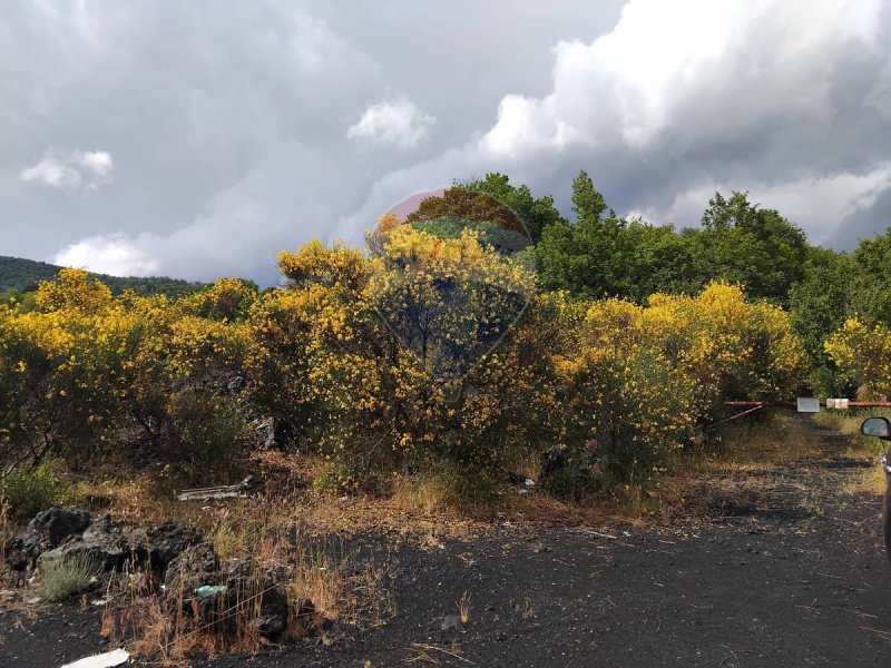 Terreno agricolo a Mascali