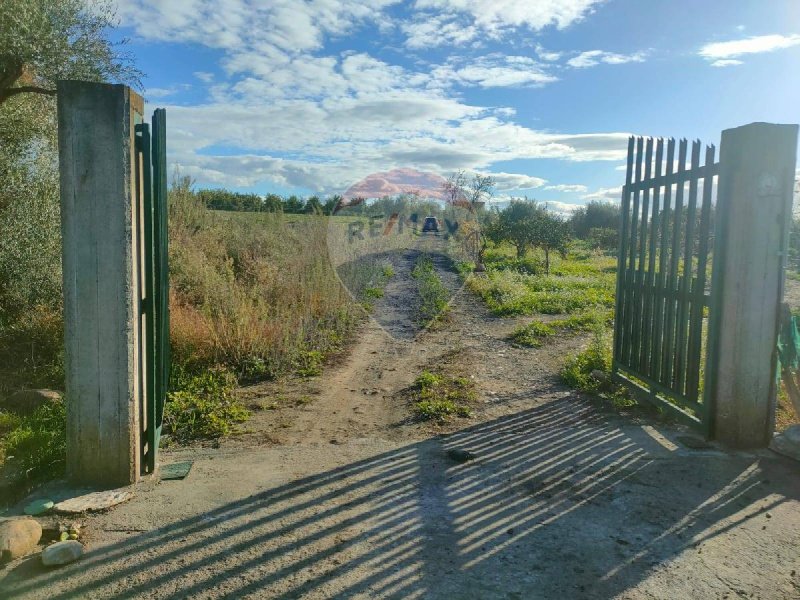 Landwirtschaftliche Fläche in Belpasso