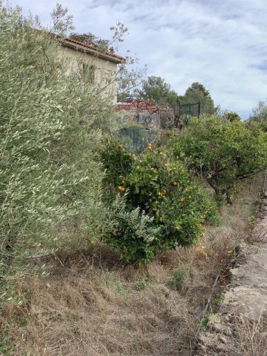 Terreno agrícola en Camporotondo Etneo