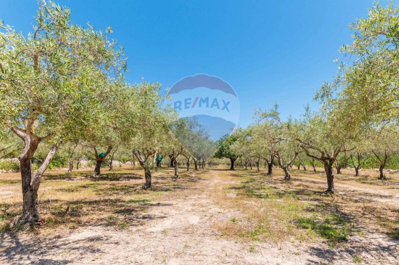 Klein huisje op het platteland in Modica