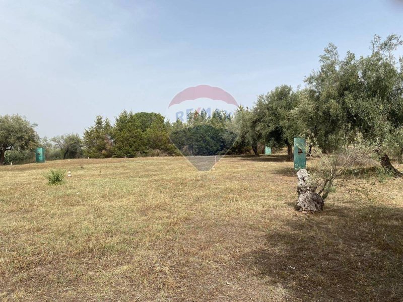 Landwirtschaftliche Fläche in Santa Maria di Licodia